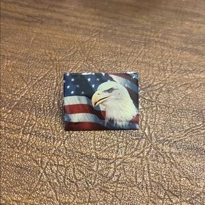 American Flag Eagle Pin